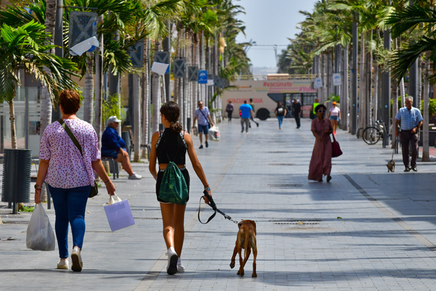 El Ayuntamiento de Santa Lucía de Tirajana presentará a los empresarios de la Zona Comercial Abierta de la Avenida de Canarias, la actualización del Plan Director el próximo lunes 15 de abril